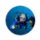 David H